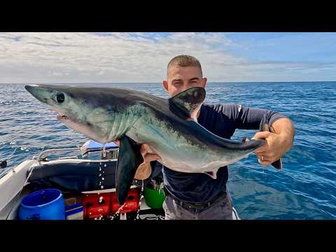 Shark Fishing UK - Deep Sea Fishing for Sharks - Everything you need to know | The Fish Locker
