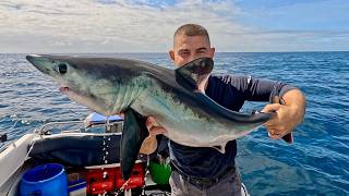 Shark Fishing UK - Deep Sea Fishing for Sharks - Everything you need to know | The Fish Locker