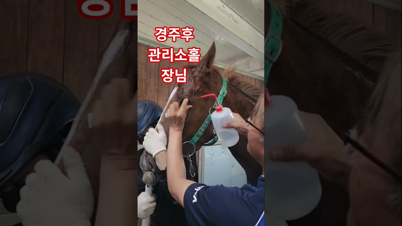 경주후 사후관리 철저 안양기픔
