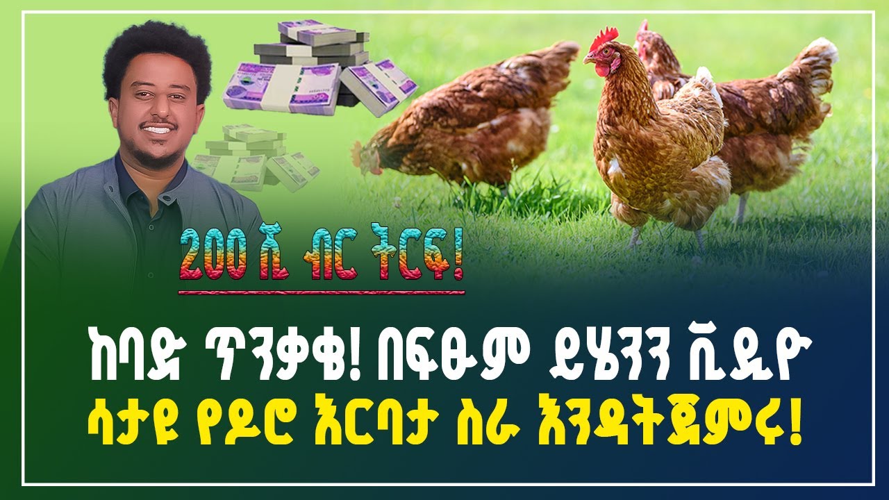 200 ሺ ብር ትርፍ! በፍፁም ይሄንን ቪዲዮ ሳታዩ የዶሮ እርባታ ስራ እንዳትጀምሩ! | Chicken farming business | Gebeya Review
