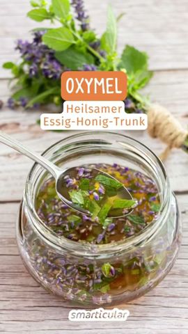Oxymel selber machen: Ein Grundrezept aus Apfelessig, Honig und Kräutern