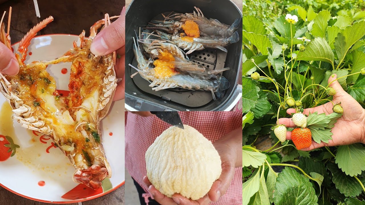 เก็บสตอเบอรี่สวนพี่สาว ลูกชายอยากกินจาวมะพร้าว ไปซื้อกุ้งแม่น้ำมาทำเมนูแซ่บๆ เก็บผักบ้านสวน Vlog