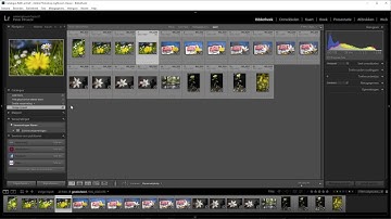 Lightroom Classic in 10 Steps | Part 3 The Interface
