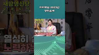 2023년 양띠 운세의 가장 큰 변화와 신년운세의 흐름은?#shorts