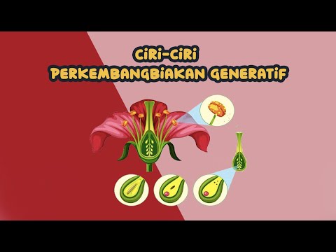 Ciri-ciri Perkembangbiakan Generatif