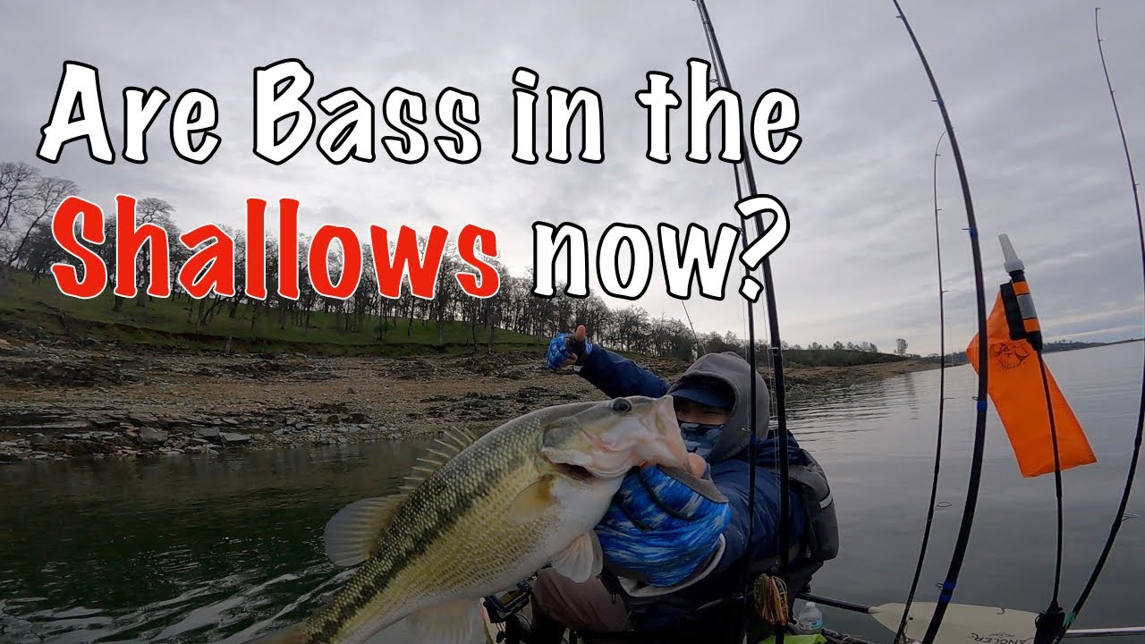 Folsom Lake Pre Spawn Bass Fishing 2024