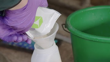 How to use RumiPro Appetizer in Cows - Preparation & Application