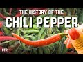 How the world became spicy in only 20 years