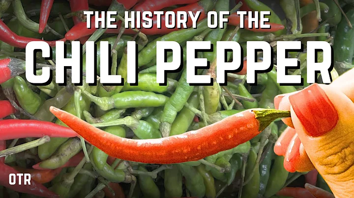 How The World Became Spicy (In Only 20 Years)