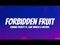 Tommee Profitt Ft Sam Tinnesz Brooke Forbidden Fruit Lyrics