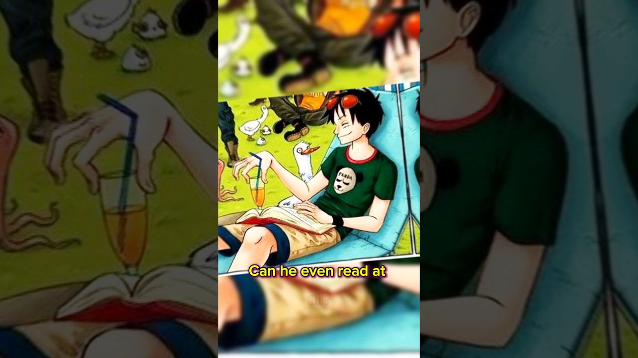 Luffy Never Read a Book 