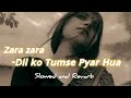 Zara Zara - Dil ko Tumse Pyar Hua -(Slowed & Revarb) Porshi - Hridoy Khan