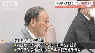 スマホで“接種証明”　12月めどでオンライン発行へ(2021年9月6日)