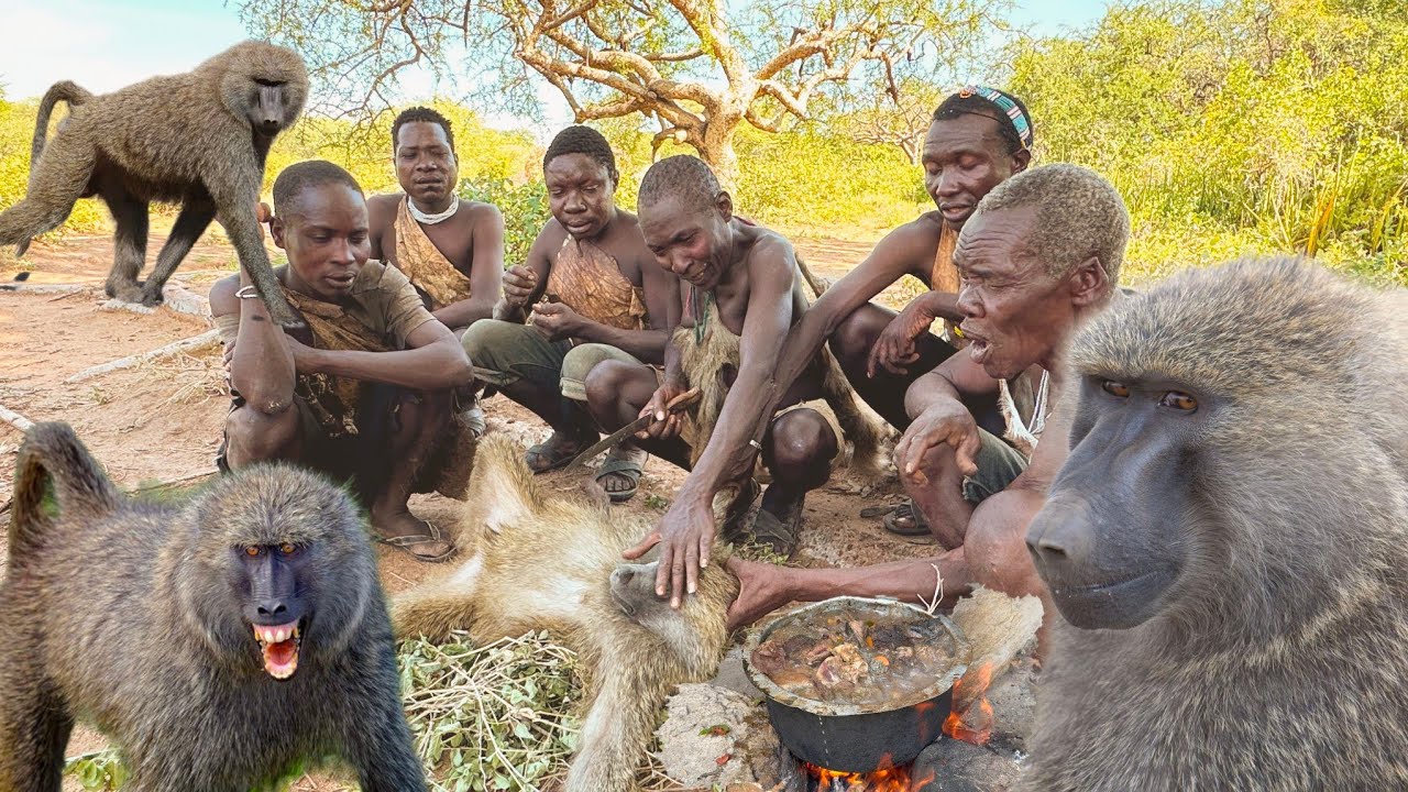 Monkeys Hunted HUNTING MONKEYS ALIVE FOR SURVIVAL IN THE JUNGLE : HOW HADZABE TRIBE ...