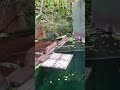 Wrocław zoo
