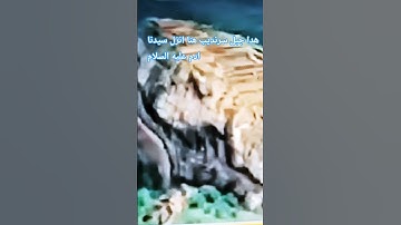 سورة القيامة القاريء عبد العزيز سحيم ....