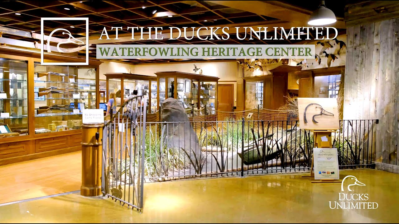Welcome To The Ducks Unlimited Waterfowl Heritage Center At Bass Pro welcome-to-the-ducks-unlimited-waterfowl-heritage-center-at-bass-pro