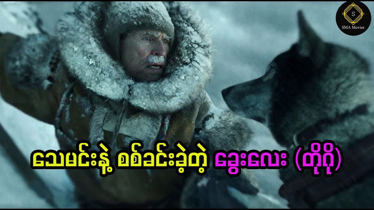 အသုံးမကျဘူးဆိုပြီး အကြိမ်ကြိမ်စွန့်ပစ်ခံခဲ့ရတဲ့ ခွေးလေးကနေ ၂၀ ရာစုရဲ့ အသတ္တိအရှိဆုံးဖြစ်လာခဲ့