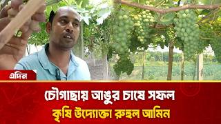চৌগাছার আঙ্গুর চাষে সফল রুহুল আমিন | Daily Adin