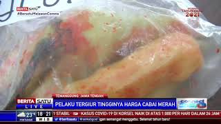 Pedagang Nakal Cat Cabai Dengan Pilox Warna Merah