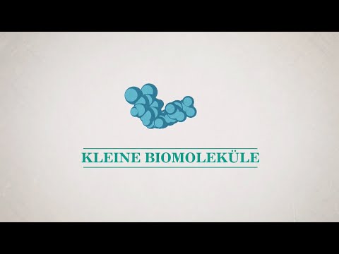 Kleine Moleküle – Vitamine, Hormone und Neurotransmitter