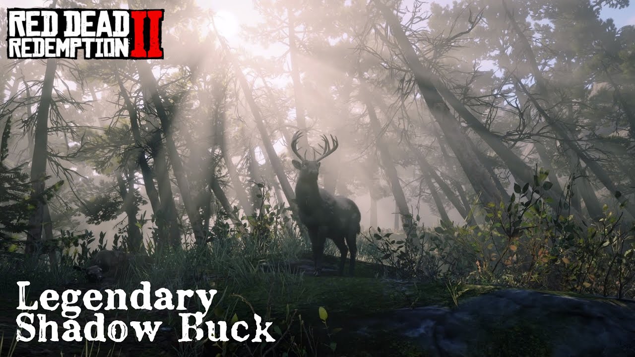 Legendary Shadow Buck Walkthrough Mission: RDR ONLINE