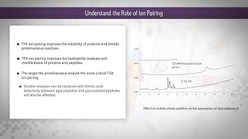 HILIC Columns Tips & Tricks: Understand the Role of Ion Pairing