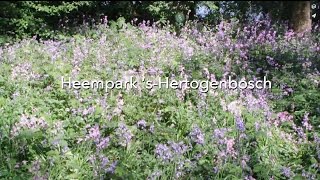 Vrijwilligerswerk in den Bosch: het Heempark