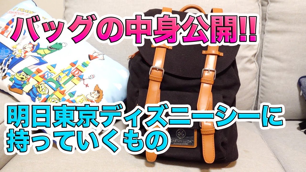 バッグの中身公開 明日の東京ディズニーシーに持っていくもの Youtube
