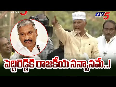 పెద్దిరెడ్డికి రాజకీయ సన్యాసమే..! Chandrababu on Peddireddy Ramachandra Reddy Political Life | TV5 - TV5NEWS