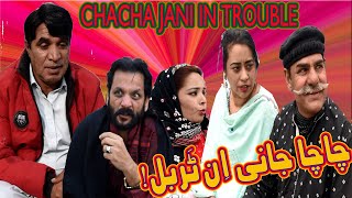 Chacha Jani in Trouble! - New Pothwari funny Video - Hameed Babar Ramzani - New Pothwari Drama 2024