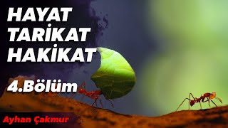HAYAT, TARİKAT, HAKİKAT ! (4. BÖLÜM)
