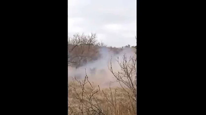 1lb Tannerite vs hog