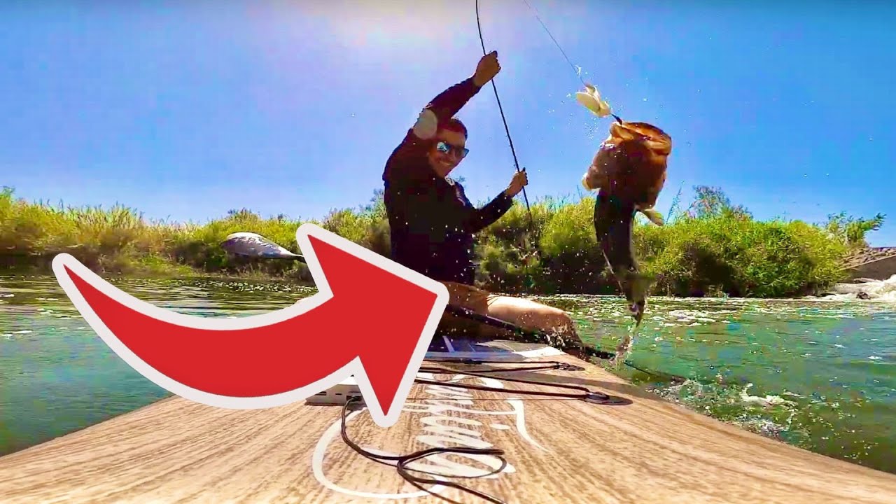 How GOOD is THIS SWIMBAIT?
