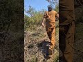 آج جنگل میں شیر کے پنجوں کے تازہ نشان دیکھے 😱 | خطرناک انکشاف | Real Wildlife Experience 🐾 #viral