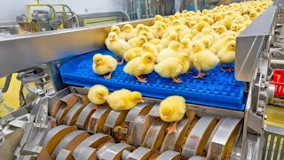 AI Mega Chicken Factory in the USA – Inside the $100M Plant Producing 500,000 Chickens Every Week 🐔🤖