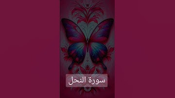 سورة النحل #quran #دويتو #duet #دعاء #صباحالخير #تيك_توك #دعاءمستجاب #حالاتواتس #لايك