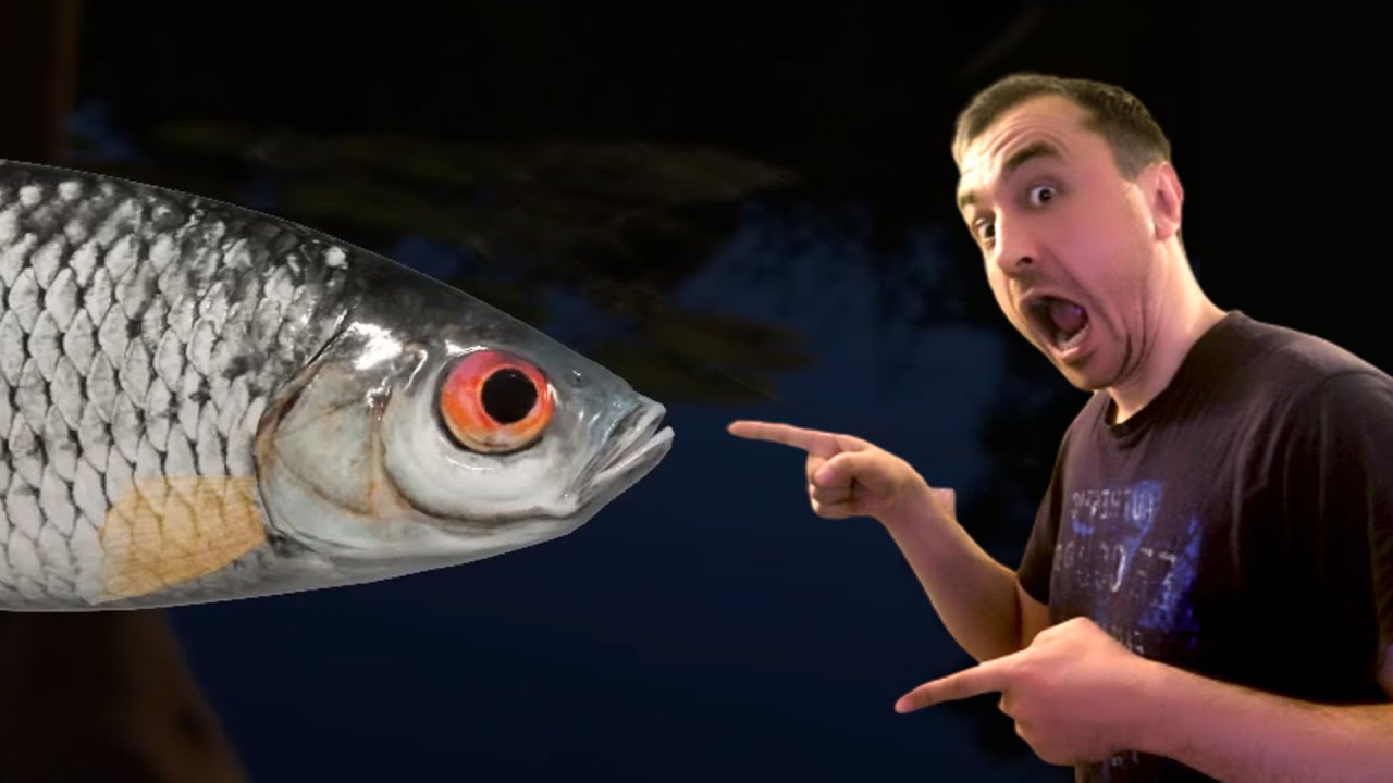 АСМР РЫБАЛКА