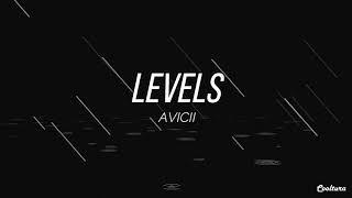 Levels - Avicii (Lyrics) Sub español