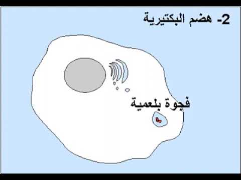البلعمة في ثواني🥳🥰