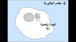 البلعمة في ثواني🥳🥰