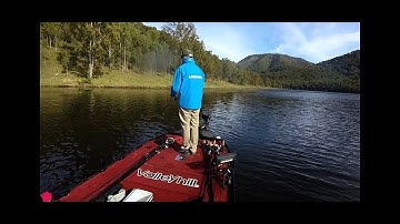 Lowrance active target in scout mode ( jerkbait strike)