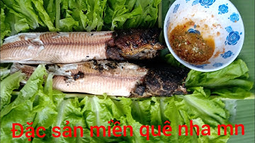# CNCViệt #vlog ẩm thực tại rừng #cá lóc nướng chấm muối ớt chanh siêu cay.