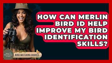 How Can Merlin Bird ID Help Improve My Bird Identification Skills? - Bird Watching Diaries