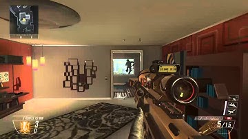 Quickscoping a bot.. WITH MY NEW GOLDEN SNIPER! (BO2)