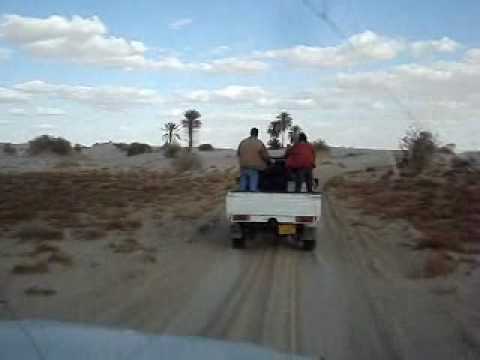    الجغبوب 