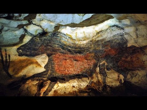 Видео: Что означает пещера Ласко?