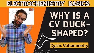 Why is a cyclic voltammetry duck-shaped? Why is there a CV peak and not just a straight line?