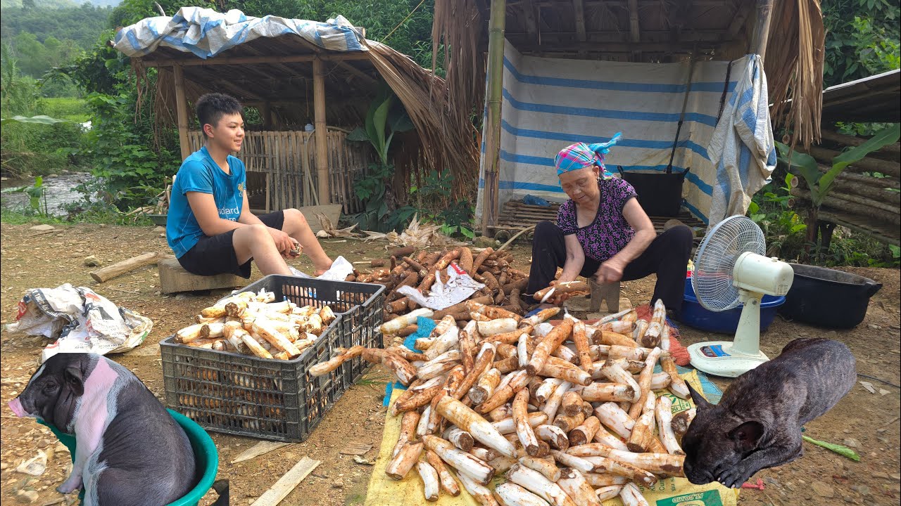 The Orphan Boy - Went to pick vegetables and peeled cassava and dried corn kernels with the old lady