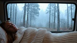One Peaceful Rainy Night Can Change the Way You Sleep Forever